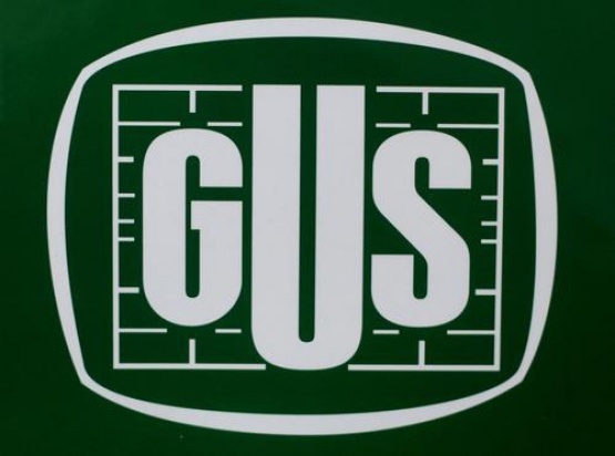 GUS o dentystach (fot. GUS) GUS o dentystach (fot. GUS)