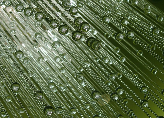 ZLS materiał przyszłości (foto: sxc.hu) ZLS: coś nowego w materiałach dentystycznych