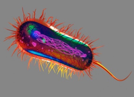 Arginina rozprawia się z bakteriami (foto: freedigitalphotos) Arginina rozprawia się z biofilmem
