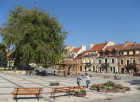 Sandomierz z opieką dentystów w szkole (foto: pixabay) Sandomierz: być może powróci opieka stomatologiczna w szkołach samorządowych