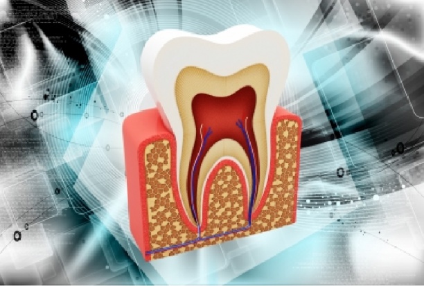 Paradontoza a PSA (foto: freedigitalphotos) Do dentysty z zapaleniem gruczołu krokowego