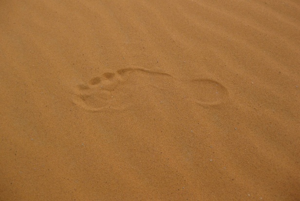 Konsultanci pilnie poszukiwani (foto: pixabay) Konsultanci z łapanki?