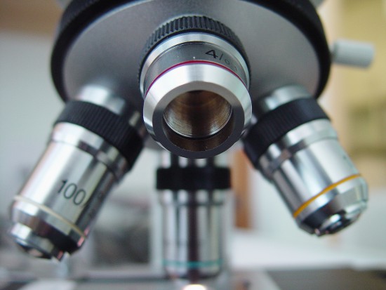 Na UMCS w Lublinie rozpoczęło działalność Laboratorium Mikroskopii Elektronowej (źródło: sxc.hu) Na UMCS w Lublinie rozpoczęło działalność Laboratorium Mikroskopii Elektronowej (źródło: sxc.hu)