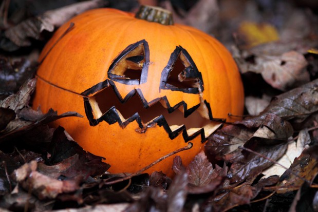 Halloween: Dentyści przechytrzą dzieci? (źródło: sxc.hu) Halloween: Dentyści przechytrzą dzieci? (źródło: sxc.hu)