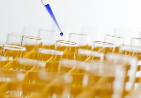 Stypendia dla wybitnych młodych naukowców