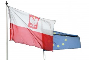Dentystów w Polsce tyle co kot napłakał, ale wciąż za dużo?