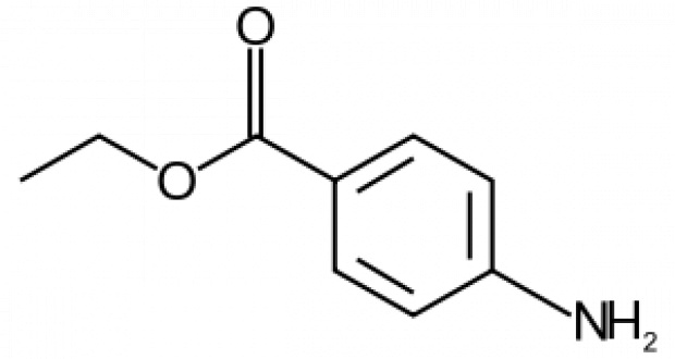 FDA: benzokaina skuteczna w ostrych bólach zębów (fot. wikipedia.org) FDA: benzokaina skuteczna w ostrych bólach zębów (fot. wikipedia.org)