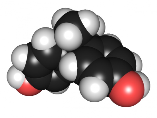 Kolejne badania druzgocące bisfenol A, stosowany także w stomatologii (fot. wikipedia.org) Kolejne badania druzgocące bisfenol A, stosowany także w stomatologii (fot. wikipedia.org)