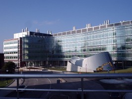VSEL w leczeniu ubytków kostnych