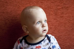 Lakowanie w Gdańsku: jest program, są pieniądze nie ma chętnych