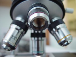 W Krakowie szukają realizatorów stażu z użyciem mikroskopu stomatologicznego