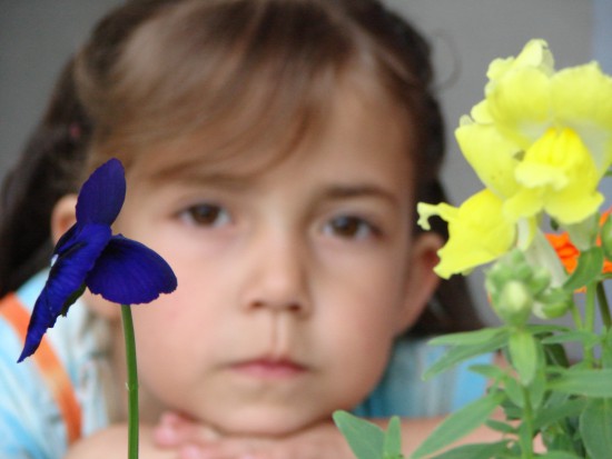 Caritas zajmie się profilaktyką próchnicy (foto: sxc.hu) Stacja Opieki Caritas Diecezji Legnickiej - przeciwko próchnicy u dzieci
