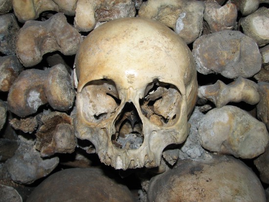 Studenci kierunków medycznych kupują ludzkie czaszki i szkielety bo - jak przekonują - potrzebne są im do nauki anatomii (fot. sxc.hu) Ile kosztuje czaszka?