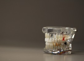 Technicy dentystyczni zrzeszają się (foto: pixabay) Technicy dentystyczni zrzeszają się w Warszawie