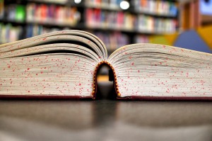 Studia w Lublinie: 172 lub 171 pkt. (pixabay) UM w Lublinie: piąta, niezwykle „płaska” lista rankingowa