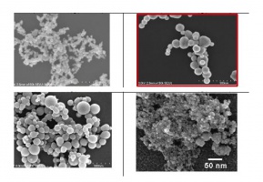 Nanostruktury (źródło: wikimedia) Nanostruktury blokujące nadwrażliwość zębów