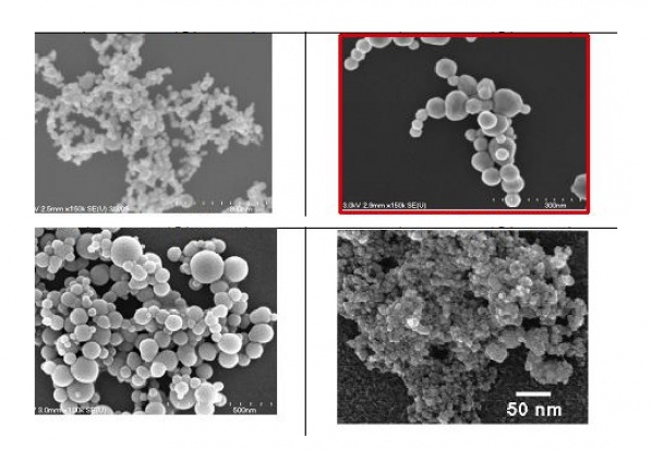 Nanostruktury (źródło: wikimedia) Nanostruktury blokujące nadwrażliwość zębów
