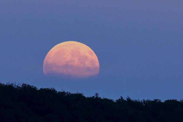 Bez nocnej i świątecznej pomocy dentystycznej w Opolu (foto: pixabay) W Opolu nie ma chętnych na dyżury stomatologiczne po 455 zł