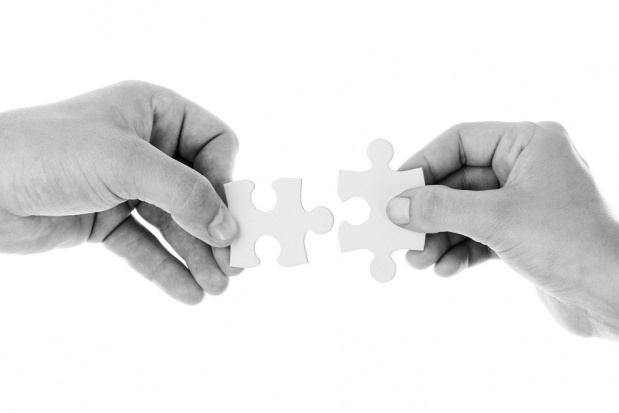 Autonomia lekarzy dentystów w samorządzie zawodowym (foto: pixabay) Autonomia dentystów. Czego domagają się stomatolodzy.