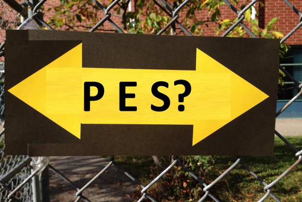 Propozycje nie tylko wobec PES (foto: pixabay) Dezyderat w sprawie naprawy systemu kształcenia podyplomowego