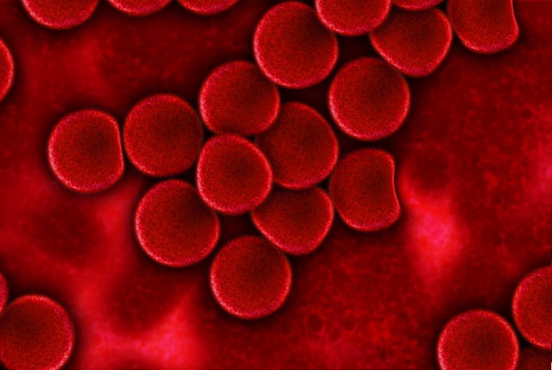 L-PRF bazuje na koncepcji preparatów płytkowych (foto: pixabay) Autogenny materiał L-PRF to szybszy czas leczenia i mniejsze ryzyko powikłań