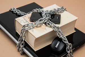 PES: tropienie pytań (foto: pixabay) Proste pytania o PES
