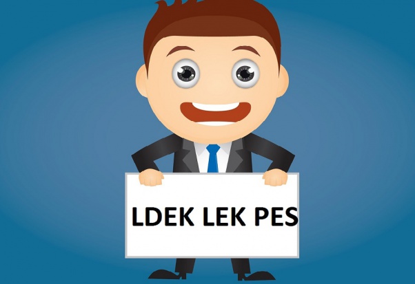 Co z jawnością pytań LDEK, LEK i PES (foto: pixabay) MZ: LDEK i PES muszą pozostać ściśle tajne