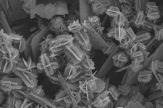 Bioaktywne nanocząsteczki wspomogą dentystów (fot. wikipedia) Walka z próchnicą w skali nano