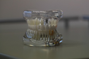Kongres FDI w Poznaniu także dla techników FDI Poznań dla techników dentystycznych