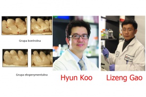Eksperymenty z nanocząsteczkami atakującymi próchnicę Nadtlenek wodoru z nanocząsteczkami atakuje próchnicę