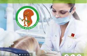 Fundacja Wiewiórki Julii w akcji Zębów mlecznych się nie leczy!