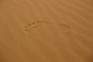 Konsultanci pilnie poszukiwani (foto: pixabay) Konsultanci z łapanki?