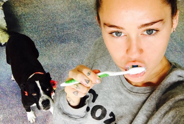 Oto jak Miley Cyrus dba o zęby (fot. pixabay) Miley Cyrus myje zęby!