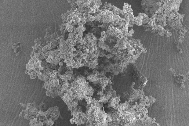 Zdjęcie mikroskopowe szkła bioaktywnego Wypełnienia bioaktywne coraz bliżej