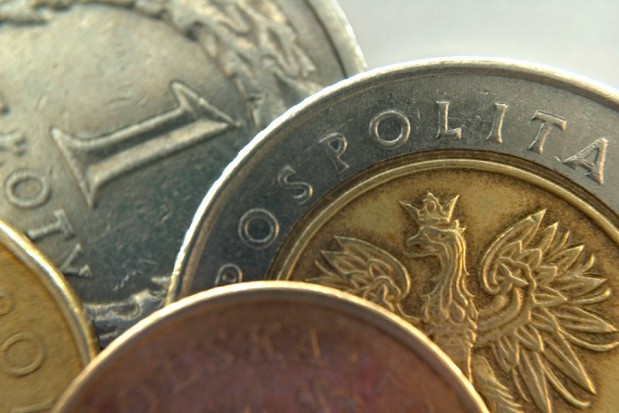Konkurs ofert w woj. opolskim (fot. pixabay) Opolski OW NFZ: przetarg na usługi stomatologiczne