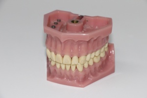 Techniki dentystyczne: zawody (foto: pixabay) Techniki dentystyczne: specyfikacja zawodów medycznych