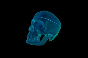 Oochrona radiologiczna pacjenta (foto: pixabay) W NIL: dentyści a ochrona radiologiczna pacjenta