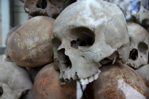 Stomatologia narodziła się już w późnym Pleistocenie? (fot. pixabay) Wypełnienie sprzed 13 tys. lat