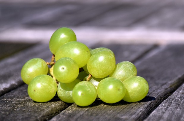 Niedoceniana w stomatologii siła winogron (fot. pixabay) Ekstrakt z nasion winogron wzmacnia zębinę