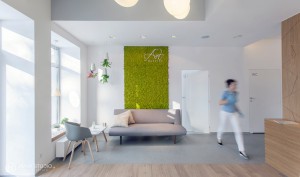 Styl skandynawski z elementami naturalnej zieleni stał się popularny w gabinetach stomatologicznych (fot. Maka Studio) Wnętrze gabinetu - więcej niż myślisz
