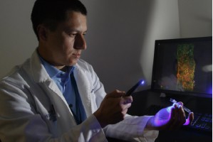 Tworzenie naczyń krwionośnych w technologii 3D Ożywianie zębów w leczeniu kanałowym