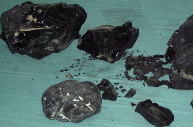 Bitum był materiałem stomatologicznym ok. 12-13 tys. lat temu (fot. wikipedia) Skład wypełnień sprzed 12 tys. lat ujawniony