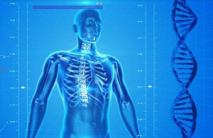 Instensywniejsze monitorowanie osteoporozy od jesieni 2017 (fot. pixabay) MZ: program profilaktyki osteoporozy prawdopodobnie w październiku