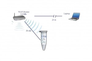 Amalgamat i sieć Wi - Fi Amalgamat wystawiany na ekspozycję Wi-Fi – nie jest dobrze