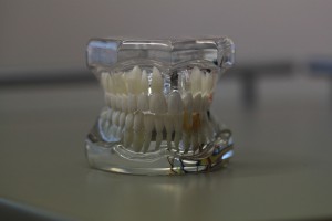 Staże podyplomowe dentystów: lista podmiotów uprawnionych w woj. pomorskim