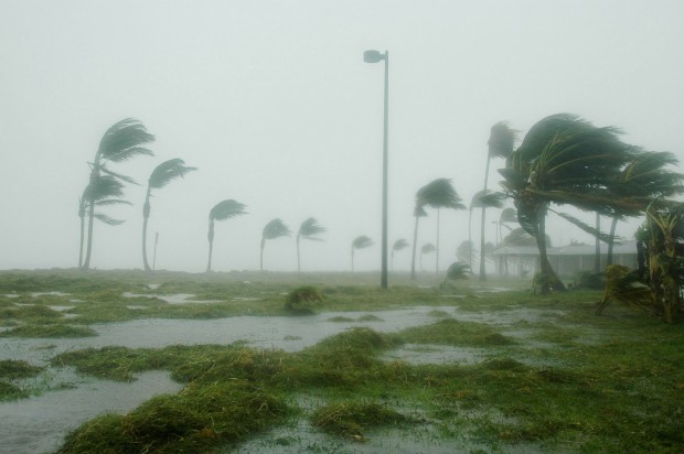 Dentyści poszkodowani przez huragan Irma dostaną zasiłki (fot. pixabay) Dentyści poszkodowani przez hurgan dostaną wsparcie od kolegów po fachu