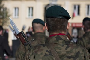 NRL podjęło stanowisko na temat specjalizacji w MON (fot. pixabay) NRL o specjalizacjach w MON
