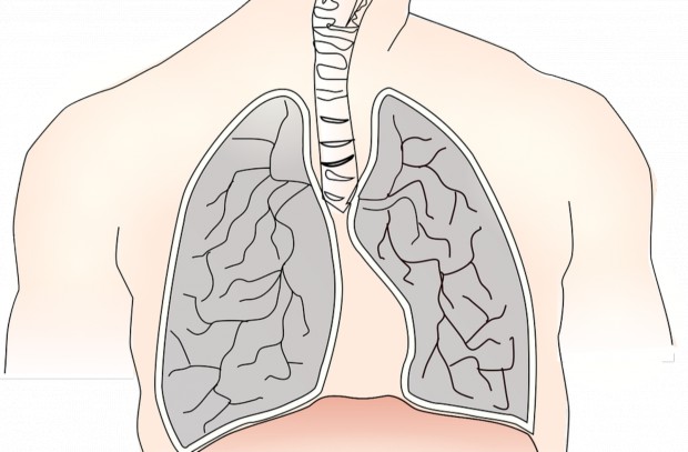 Co wdycha technik dentystyczny (fot. pixabay) Nanocząsteczki: alert dla dentystów