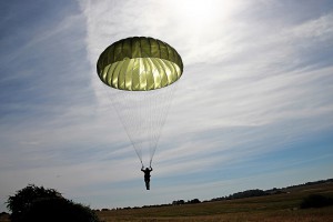 Armia bez zębów (foto: pixabay) Łotewska armia z dziurawymi zębami