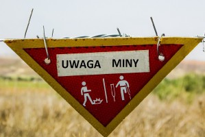 Konsultanci na polu minowym (foto: pixabay) Konsultanci: oświadczenie majątkowe, czy pole minowe?